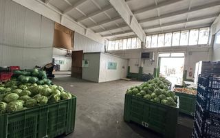 Hala de inchiriat Grădiște/Sere, Arad-761 mp - Poză 2