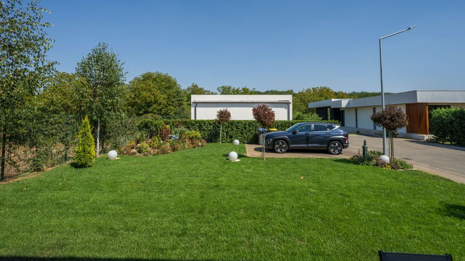 Vila Superba - Snagov Lac - Comunitate - Piscina - Ponton - Poză 48