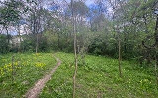 TEREN INTRAVILAN 7018 MP CAMPULUNG - Poză 23