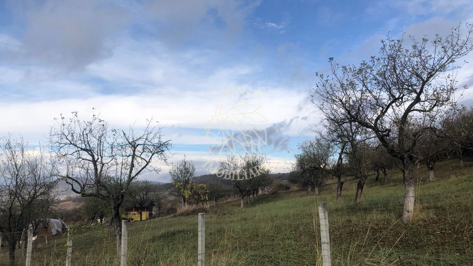 Teren intravilan 3800 mp-pretabil case-parcelabil-Zona Cartier Raal - Poză 4