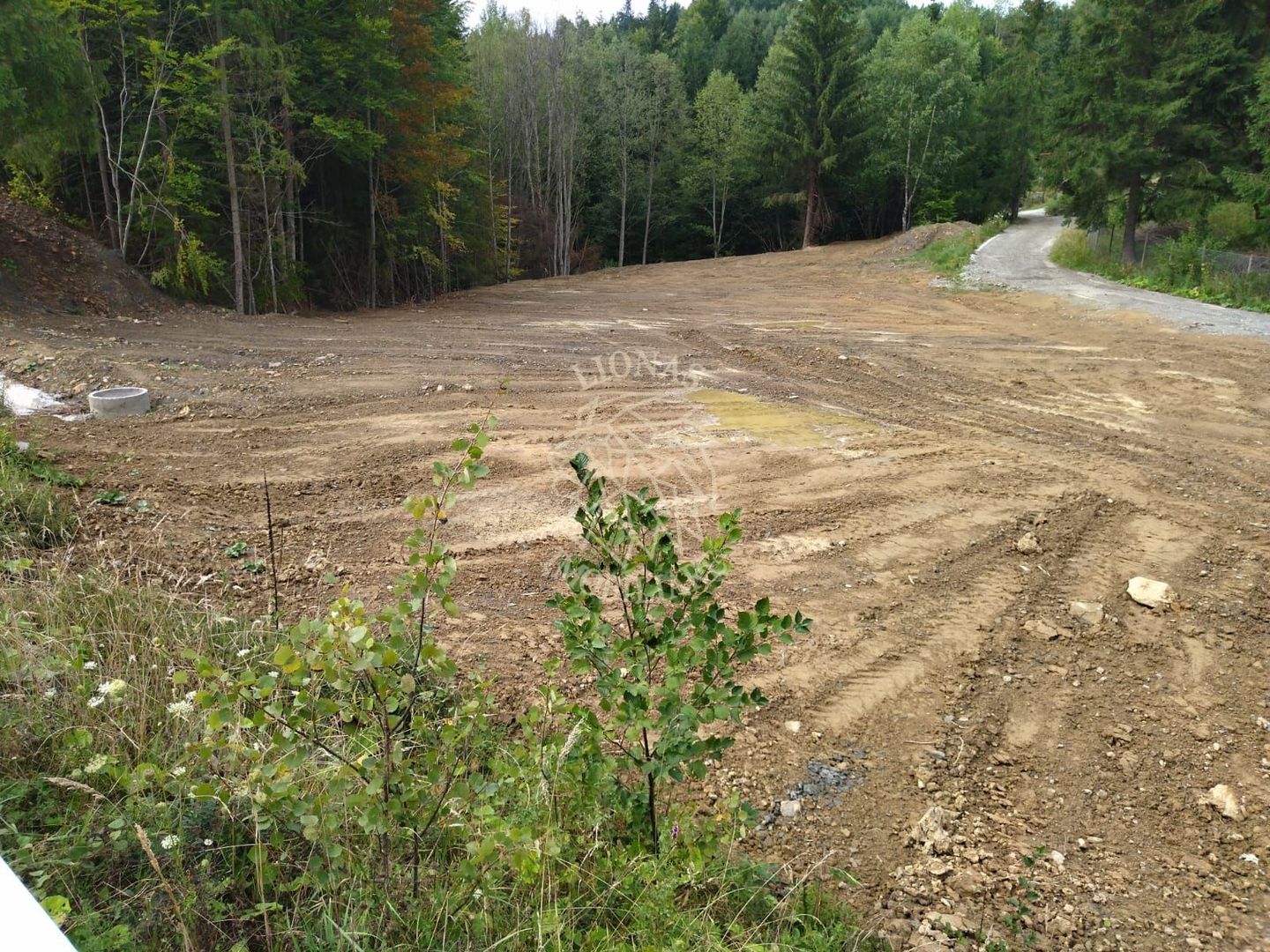 Teren intravilan 1350 mp-parcelabil-ideal cabana/restaurant-Colibita - Poză 2