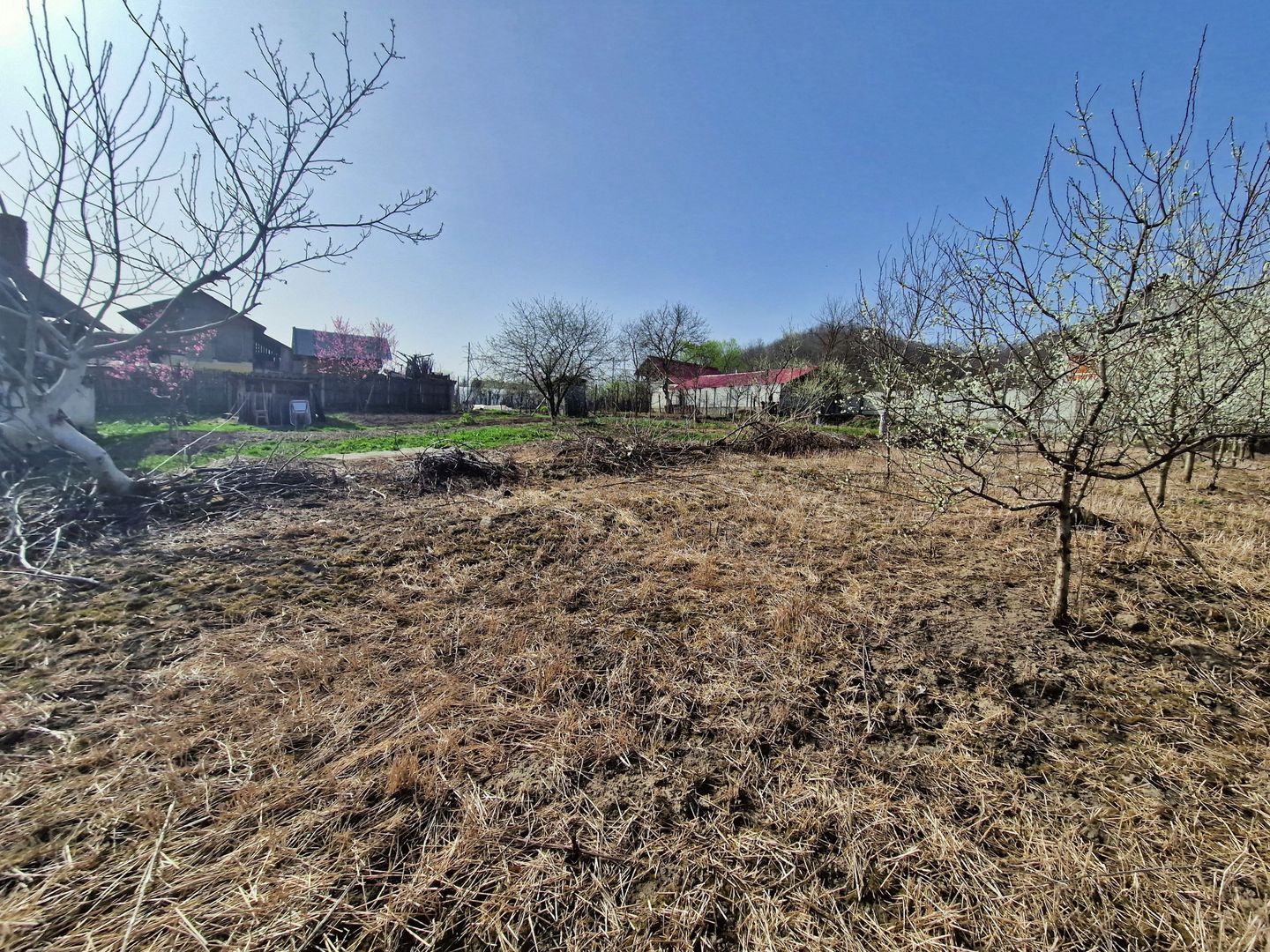 AZURA Imobiliare - Teren si Casa Micesti - Poză 6