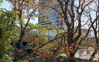 Aviației vizavi de Promenada - Poză 9