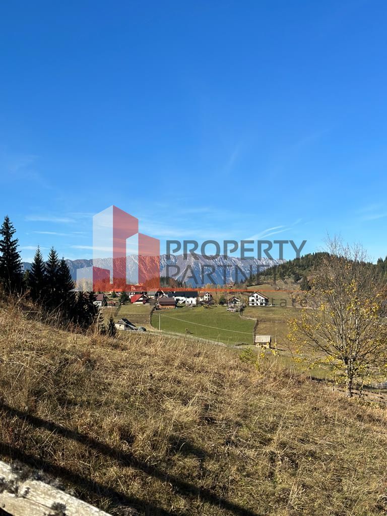 Teren Fundatica intravilan 4500 mp - Poză 18