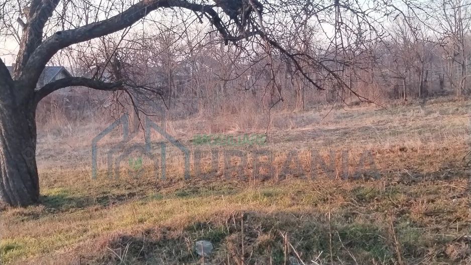 Vanzare teren - zona Ciurea, spre Piciorul Lupului. - Poză 5