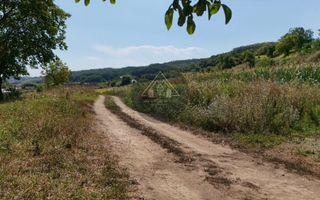 Teren intravilan Medias - de vanzare - Poză 4