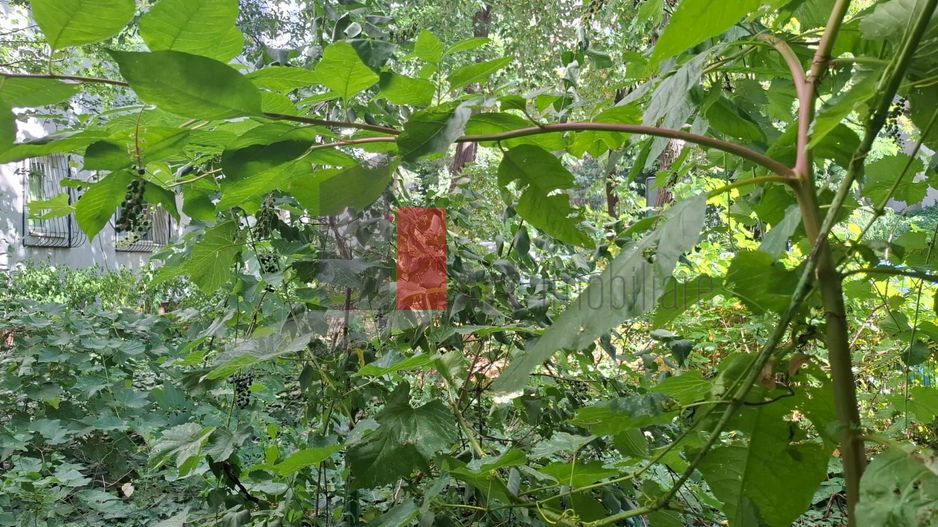 Apartament Piata Victoriei-Titulescu - Poză 9