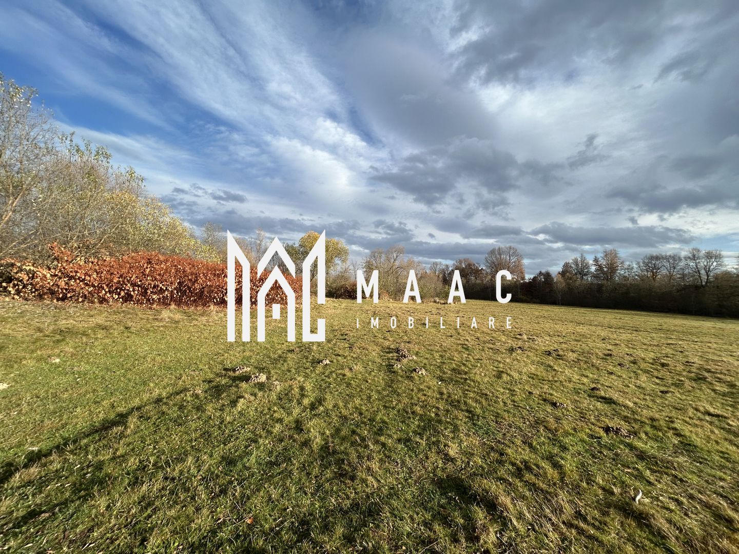 Teren cu potențial turistic I Cârțișoara I 1800 MP - Poză 3