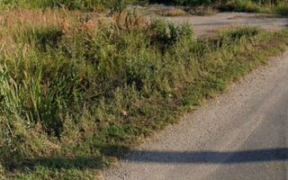 Teren intravilan 2171 mp Cateasca Arges, deschidere 49 ml  - Poză 1