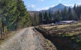 Teren intravilan cu utilitati 600 mp-ideal cabana-Colibita - Poză 1