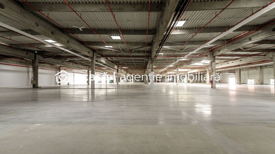 Închiriere spații industriale în Industria Park Arad - Poză 7