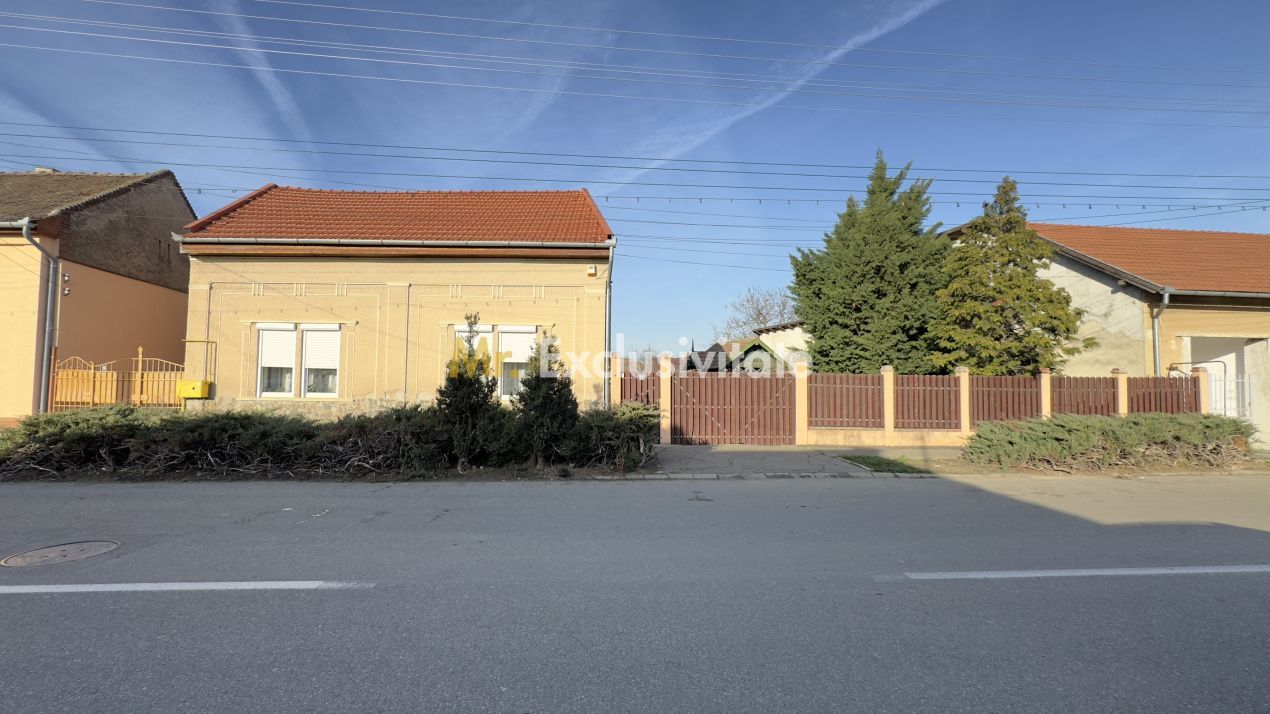 Casă 4 camere cu Teren 2.974 mp | Rezidență sau afacere | Carei - Poză 2
