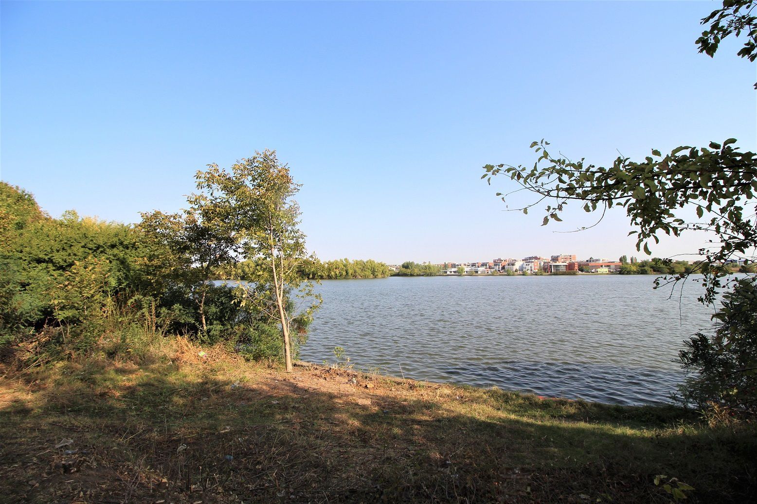 Teren 5963 mp deschidere lac Grivita 42 m cu deschidere la strazi 77 m - Poză 5