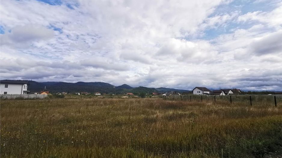 Oportunitate pentru constructie casa, 750 mp, Cristian, Brasov - Poză 4