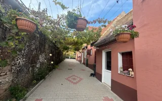 Casa Individuala | 150MPU | 494MP Teren | Sura Mare - Poză 19