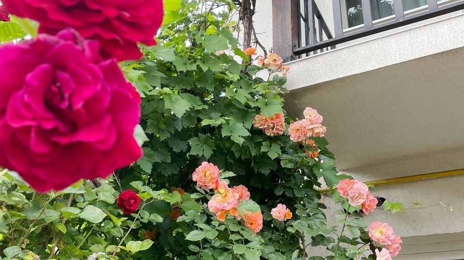 Casa cu 4 camere,237mp,zona strada Lunga - Poză 14