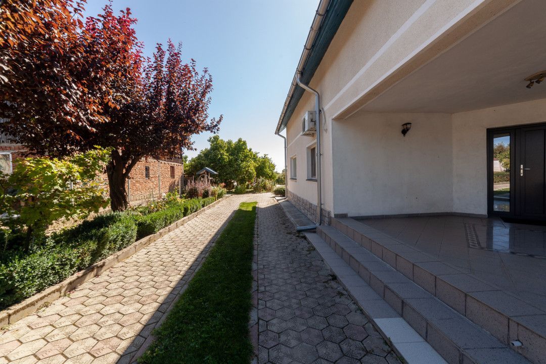 Casa visurilor cu 4000 mp livada roditoare si gradina Darmanesti-Arges - Poză 5