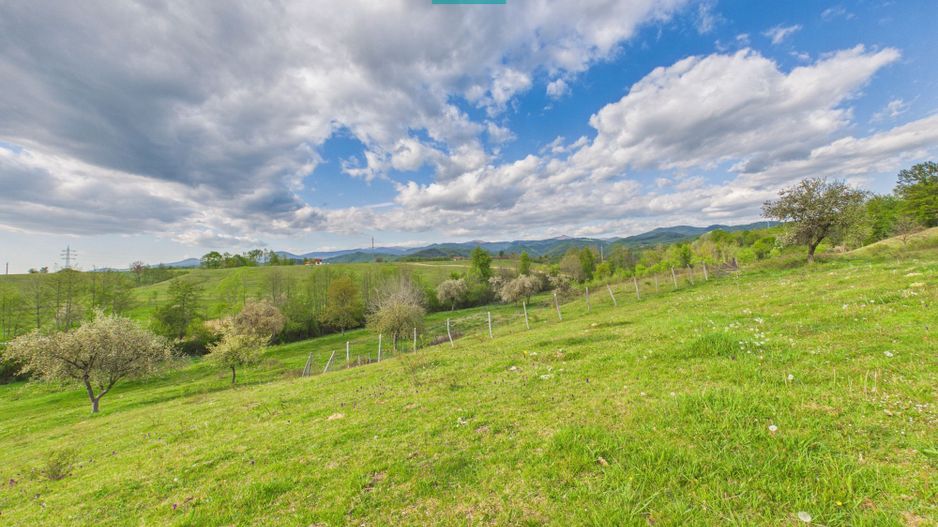 Casă cu teren de 17.681 mp, în loc. Hălmăgel, Arad - Poză 27