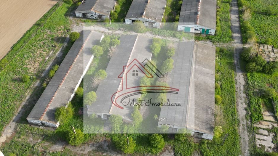 Oportunitate Investiție – Fermă 9,5 Ha cu 10.000 mp Construcții - Poză 6