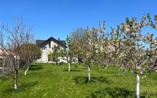 Casă de vânzare în comuna Țuțora, județul Iași – 180 mp, teren 1200 mp - Poză 5