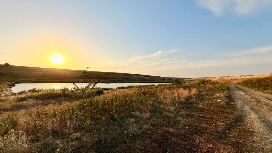 Teren Daia 75000 mp cu balta 30000 mp izvoare - Poză 14
