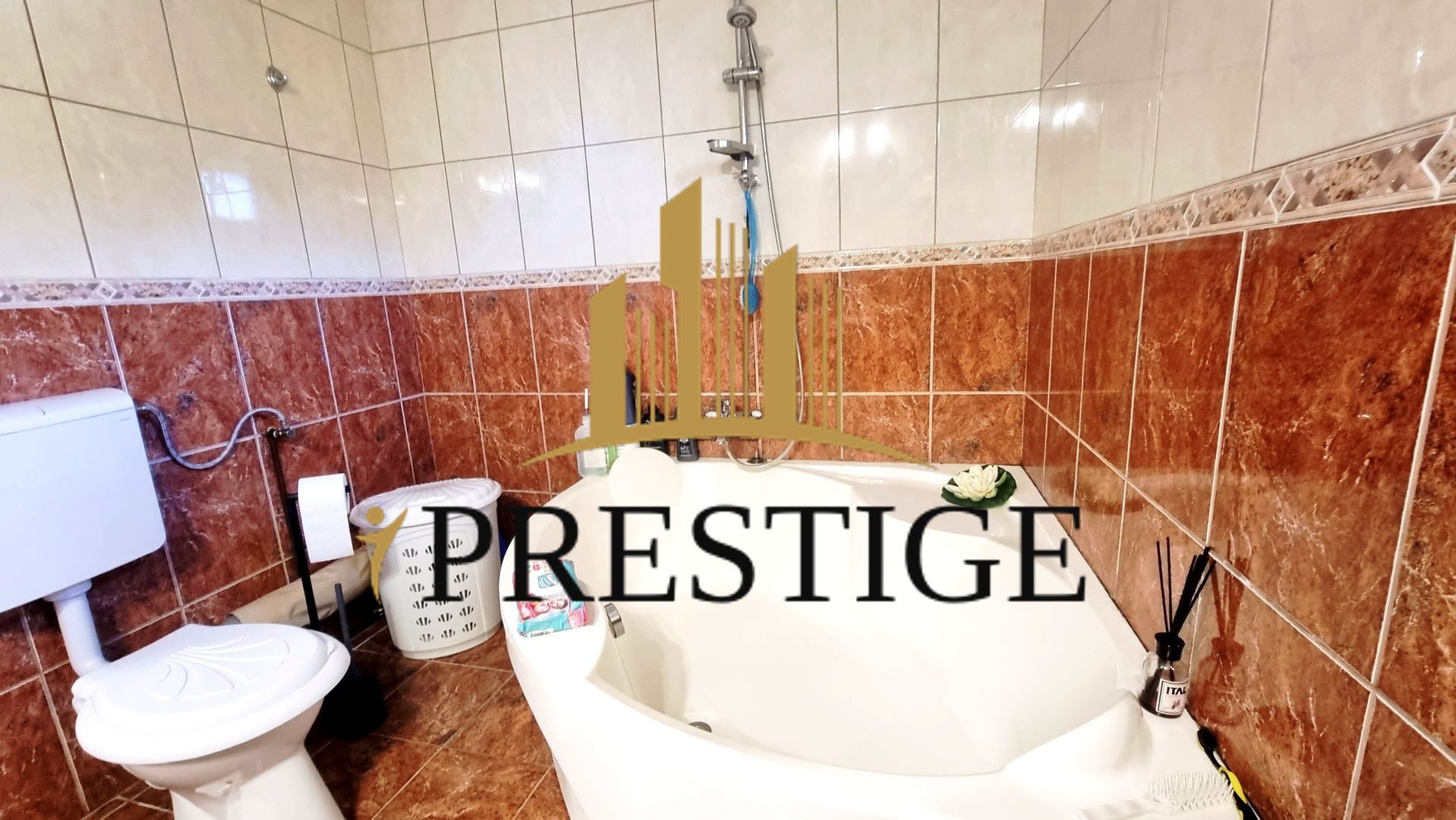 COMISION 0% | CASĂ ÎN TURNIȘOR | IDEALĂ PENTRU 2 FAMILII - Poză 8