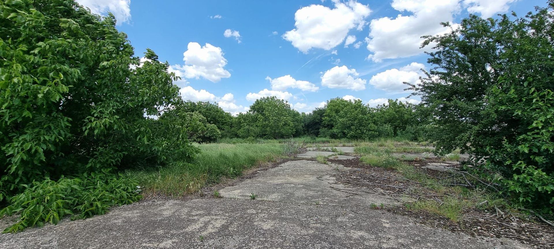 8 ha Otopeni - Poză 3