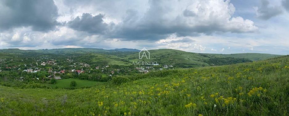 Domeniu 15.900 mp în Fințești | Casă + Investiție Dealu Mare - Poză 17