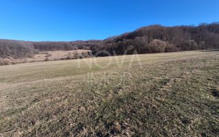 Ferma complet echipata de vanzare – zona Agnita, judetul Sibiu - Poză 3