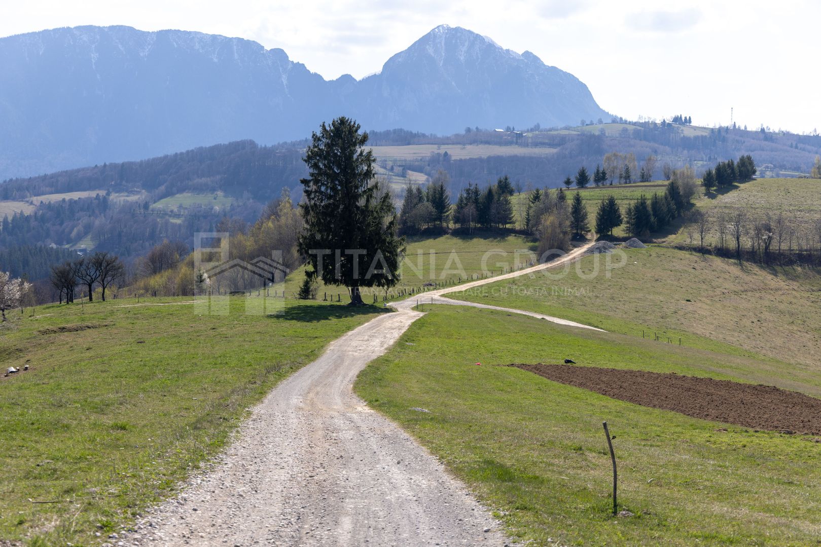 Teren intravilan în Poiana Mărului, 3.791 mp cu priveliste panoramica - Poză 1