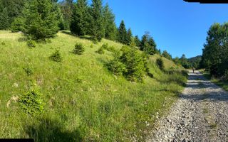 Teren 14400 mp la iesire din Rasnov inspre Pârâul Rece-Trei Brazi - Poză 1