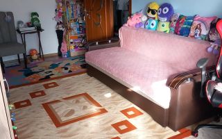 Apartament cu 2 camere de vanzare pe strada Careiului vizavi cu Nepi Shopping Plaza. - Poză 8