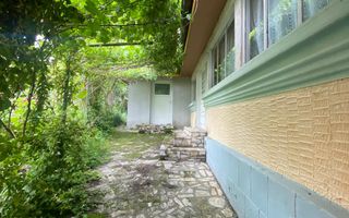 Domeniu 15.900 mp în Fințești | Casă + Investiție Dealu Mare - Poză 3