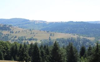 Terenuri Carpinis I parcelabil I Curent pe proprietati - Poză 2
