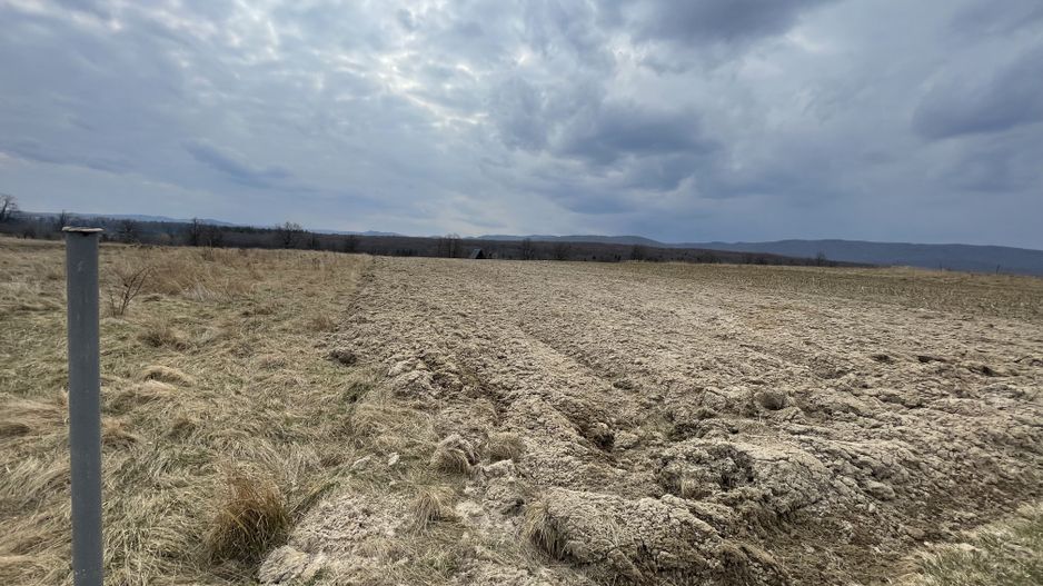 TEREN EXTRAVILAN | 23 ARI | HORODNIC DE SUS - Poză 8