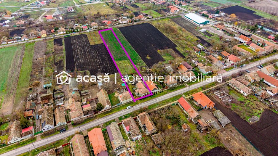 Casă + livadă tânără + curte 2.500 mp în Dorobanți - Poză 7