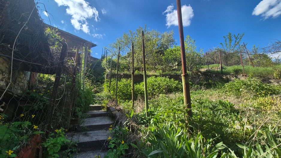 Casa langa Gradina Zoologica - Poză 8
