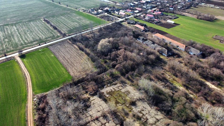 Ferma si livada de meri in judetul Ilfov - Poză 4