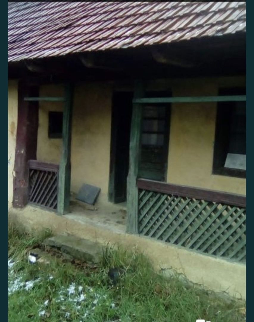 Vand casa batraneasca - Poză 1