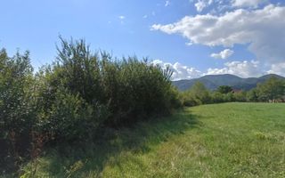 Teren  construibil ,la sosea, intre Vale si Sibiel, zona cu potential - Poză 7