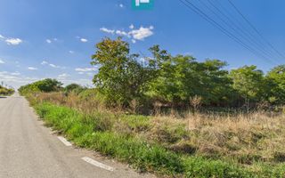 Teren intravilan 6115mp pentru investiții Firiteaz - Poză 5