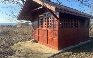 Proprietate deosebita in Filiasi - Poză 22