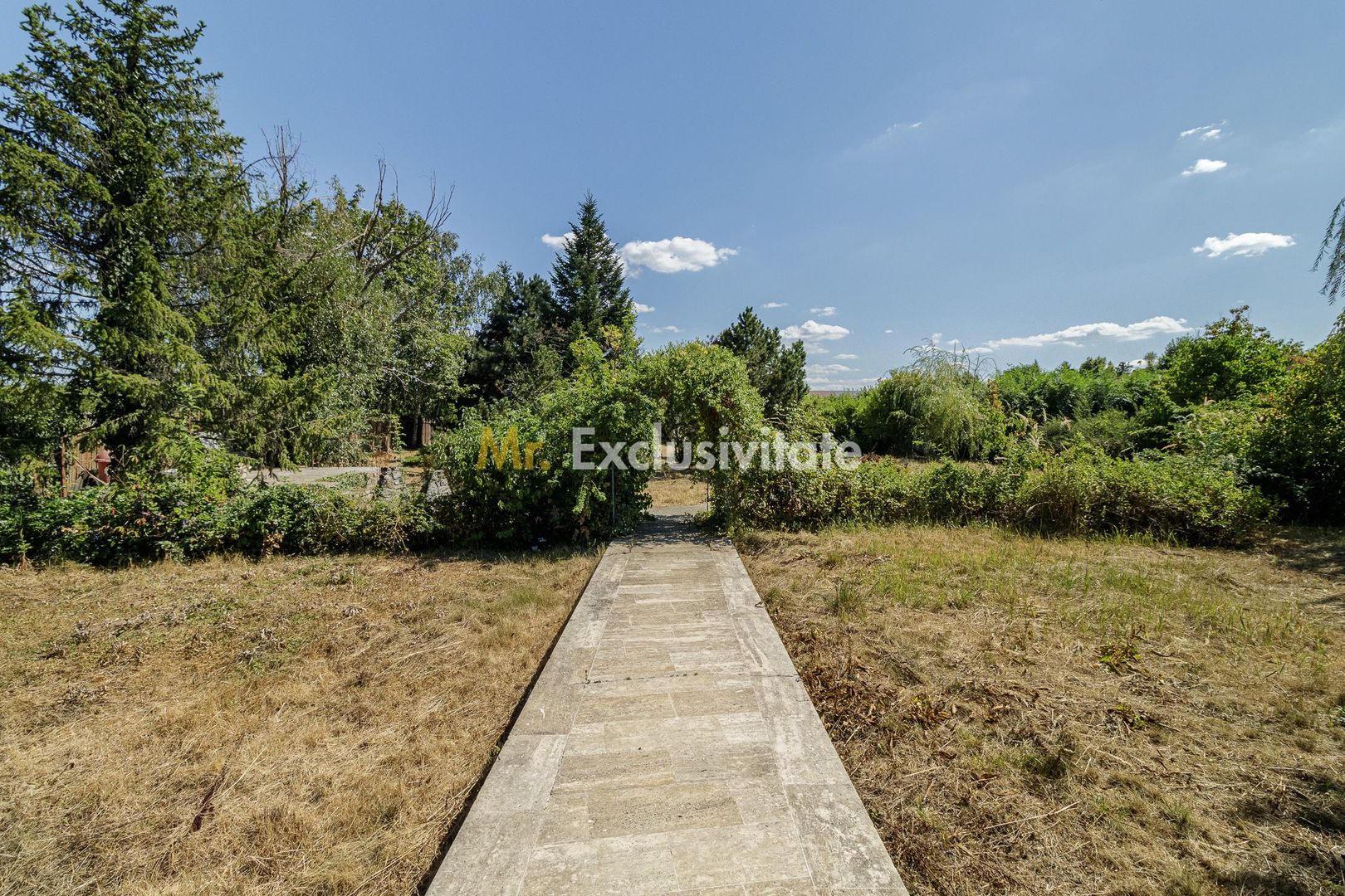 Domeniu privat 5.000 mp, cu reședință de 625 mp și piscină, Corbeanca - Poză 14