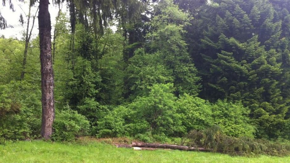 Teren intravilan Cotul Donului,pretabil Hotel/pensiune. - Poză 8