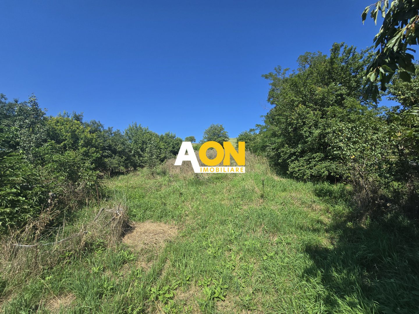 Comision 0%! Casa 3 camere Gura Ariesului, 1500mp Teren - Poză 11