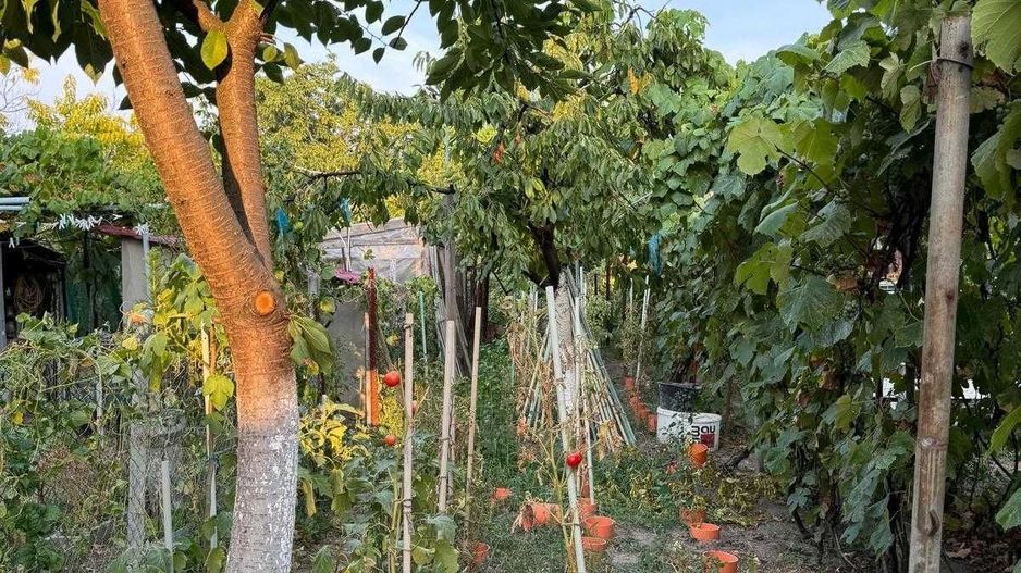 Casa de vânzare în zona Calea Sagului - Poză 7
