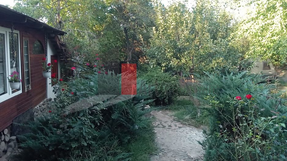 Vânzare teren intravilan Dărăști-Vlașca - Poză 5