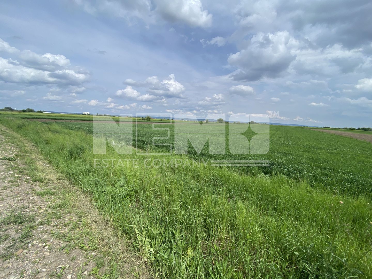 Teren Burla | Strada Principala | 78 ARI - Poză 3