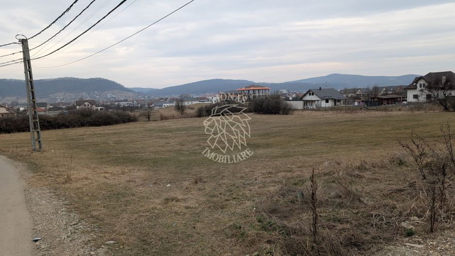 Teren intravilan 5000 mp cu utilitati-ideal case-Zona Valea Rusului - Poză 4