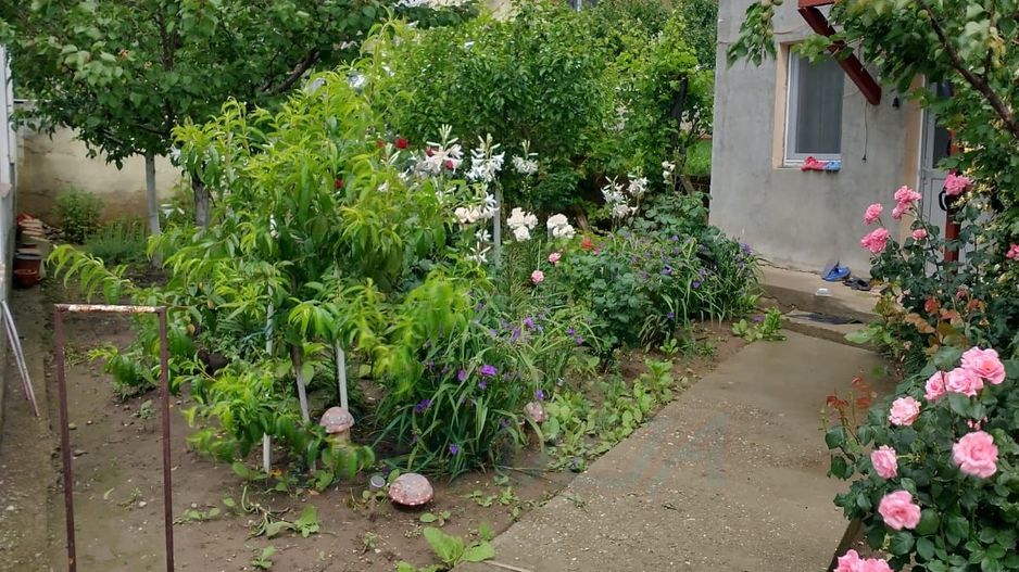 Vanzare casa P+M, Smardan( Galati ), la 2 minute de str.principala - Poză 2